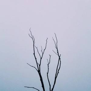 女人张开腿让男人通 
