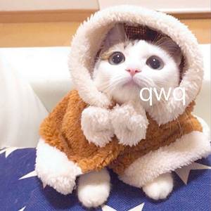 女人张开腿让男人通 
